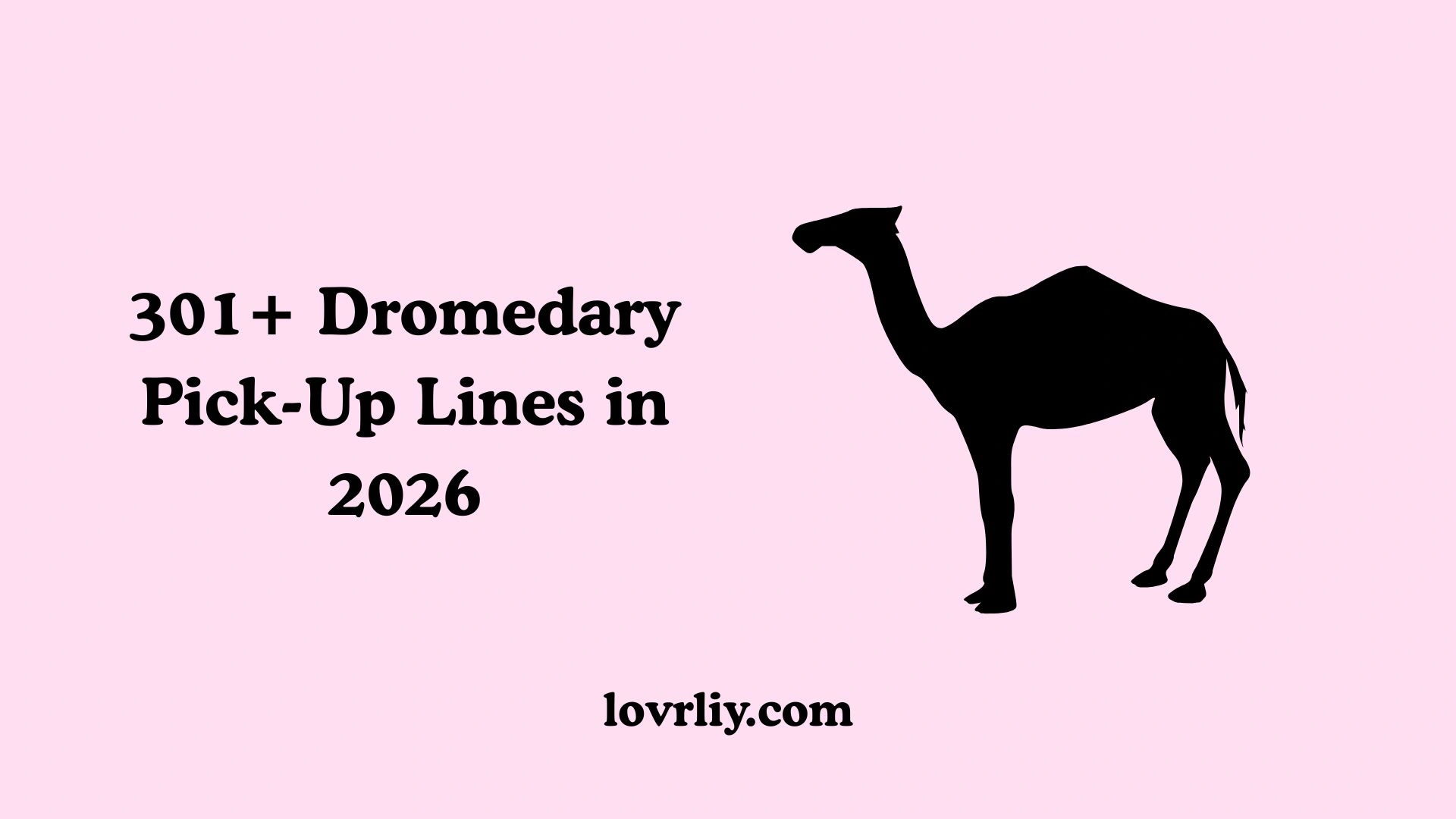 301+ Dromedary Pick-Up Lines in 2026