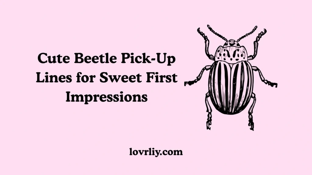 Cute Beetle Pick-Up Lines for Sweet First Impressions