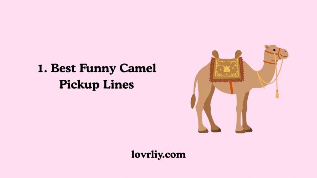 1. Best Funny Camel Pickup Lines