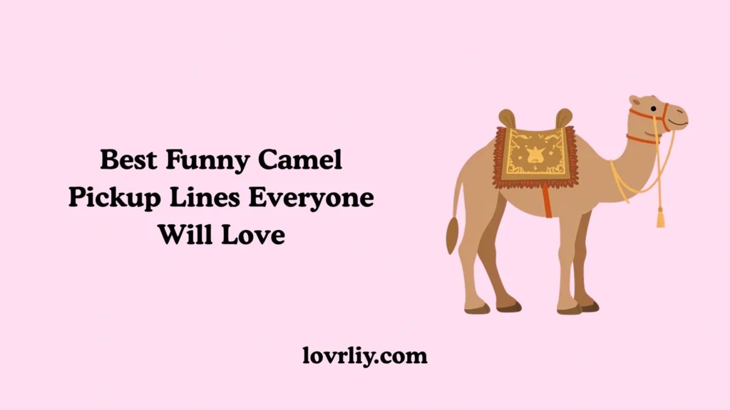 Best Funny Camel Pickup Lines Everyone Will Love