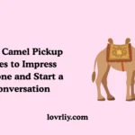 Cute Camel Pickup Lines to Impress Anyone and Start a Conversation