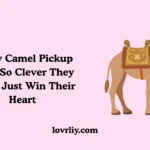 Nerdy Camel Pickup Lines So Clever They Might Just Win Their Heart